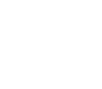 wasl properties logo